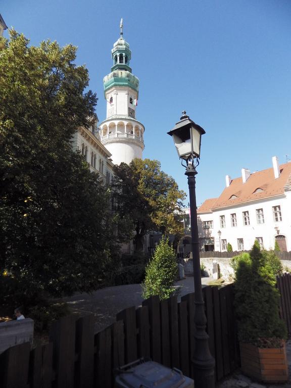 Belvarosi Erdesz-Lak Sopron Ngoại thất bức ảnh